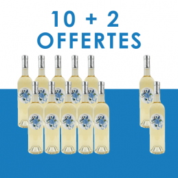 Offre spéciale SG Blanc...